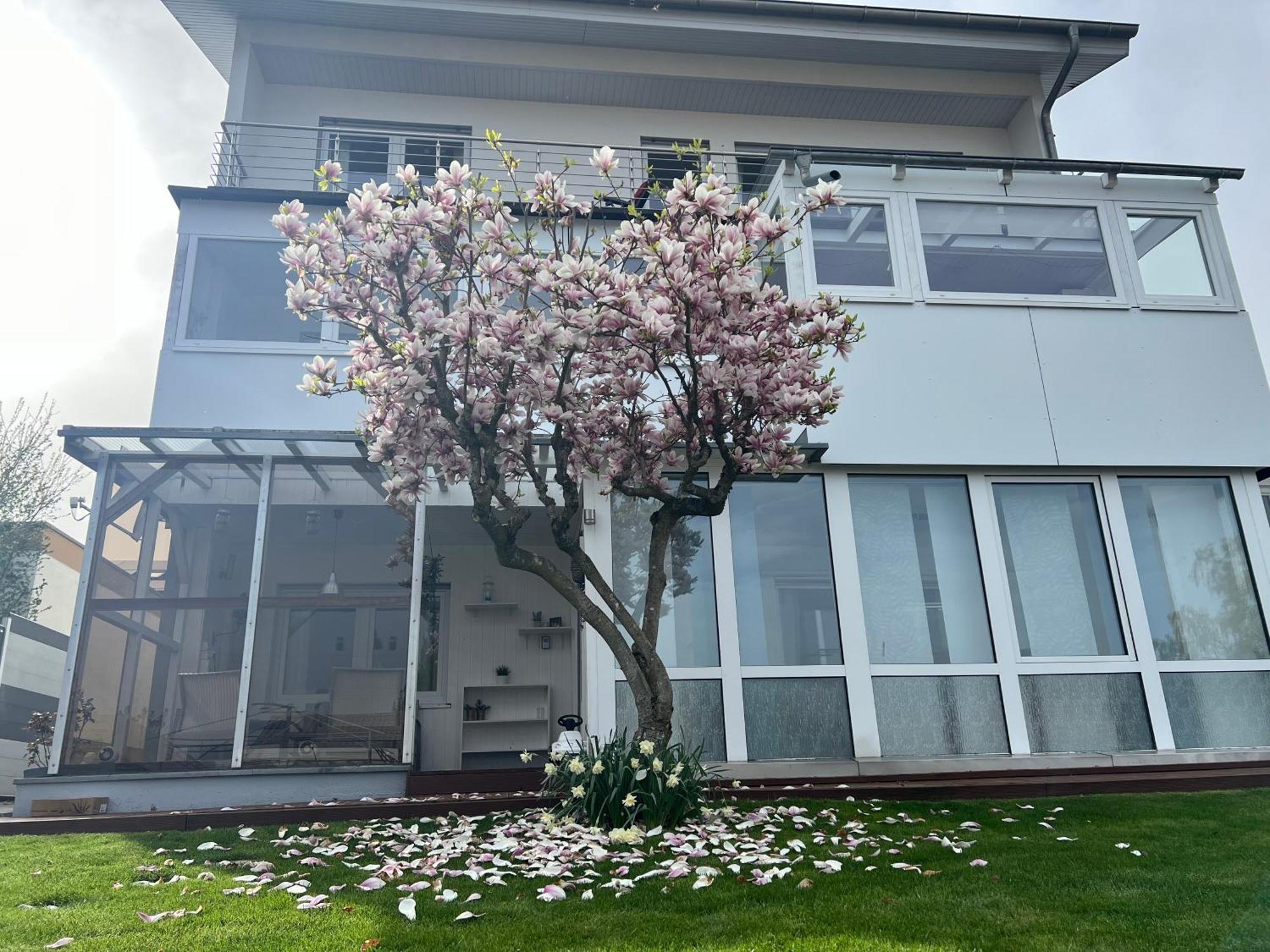 Ferienwohnung Schwarzwald Lodge Schömberg im Schwarzwald Exterior foto